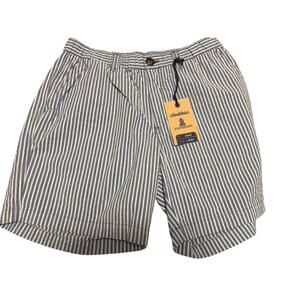 NWT Chubbies Mens Medium Striped Shorts Light Blue, Grey and Light Teal